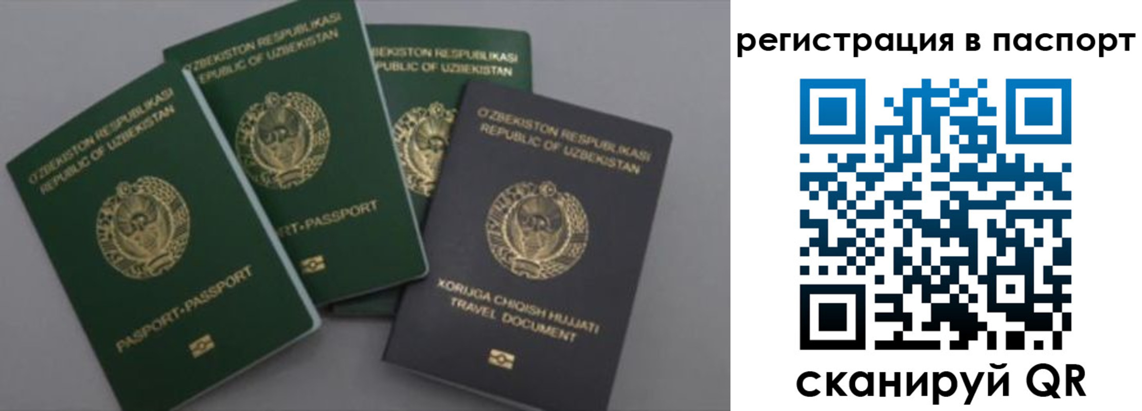 прописка от собственника в Новомичуринске